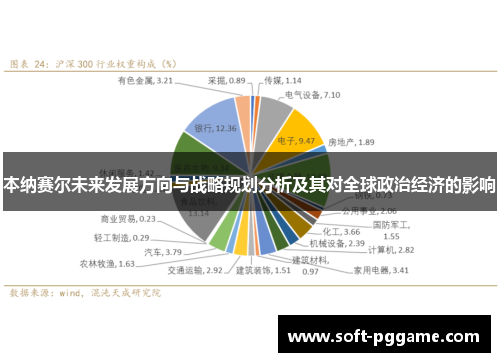 本纳赛尔未来发展方向与战略规划分析及其对全球政治经济的影响