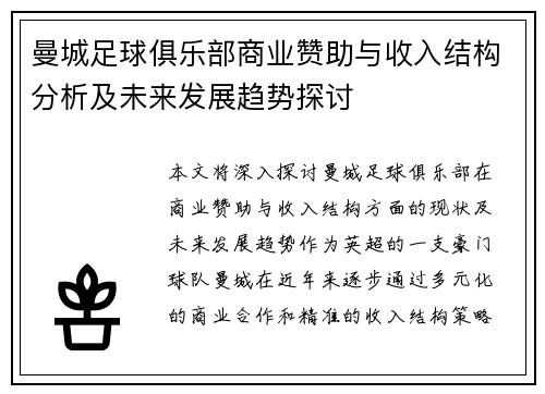 曼城足球俱乐部商业赞助与收入结构分析及未来发展趋势探讨
