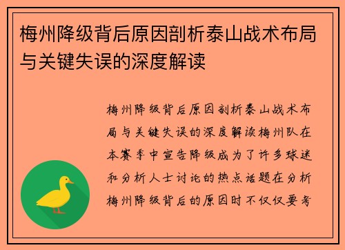 梅州降级背后原因剖析泰山战术布局与关键失误的深度解读
